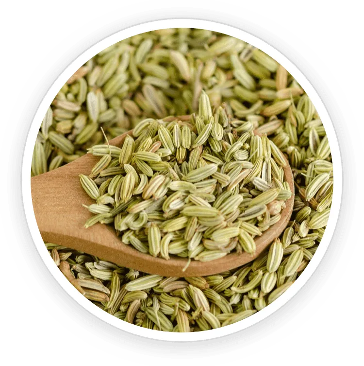 Fennel Seed