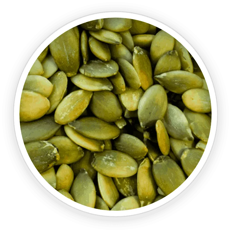 Pumpkin Seed